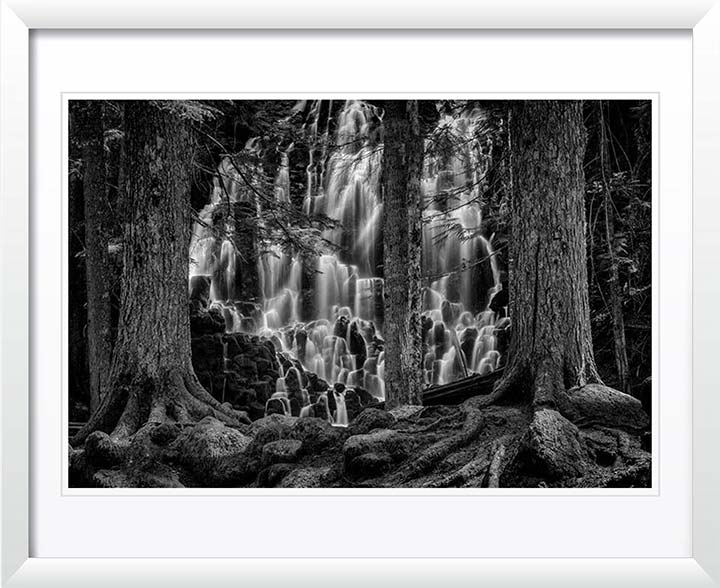 "Guarded Dreams" by Joshua Johnston Photography