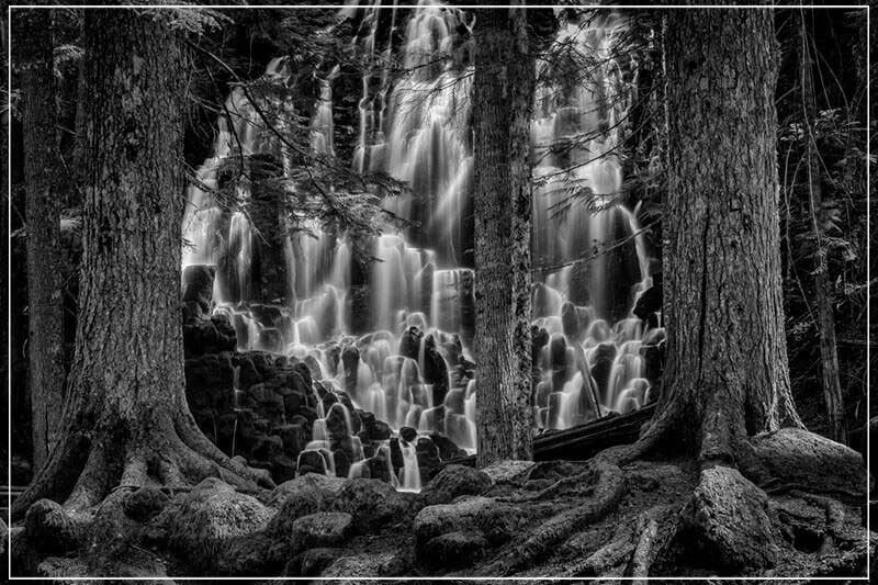 "Guarded Dreams" by Joshua Johnston Photography-Artography Limited