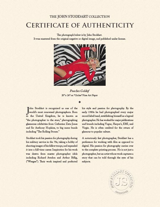 Peaches Geldof Portrait by John Stoddart