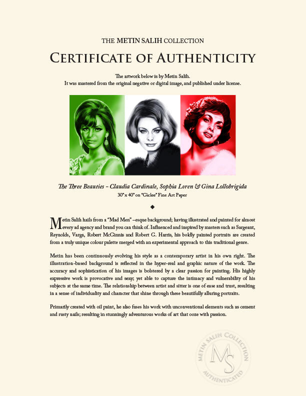 "The Three Beauties - Claudia Cardinale, Sophia Loren & Gina Lollobrigida" by Metin Salih