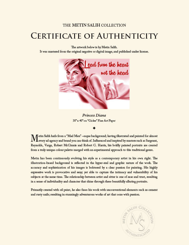 "Princess Diana" by Metin Salih