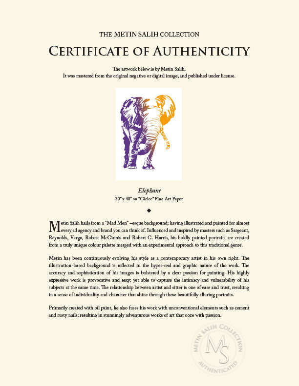 "Elephant" by Metin Salih