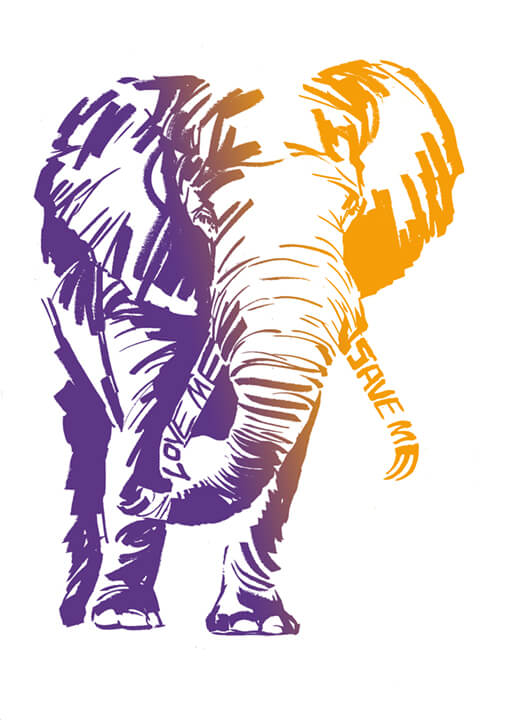 "Elephant" by Metin Salih