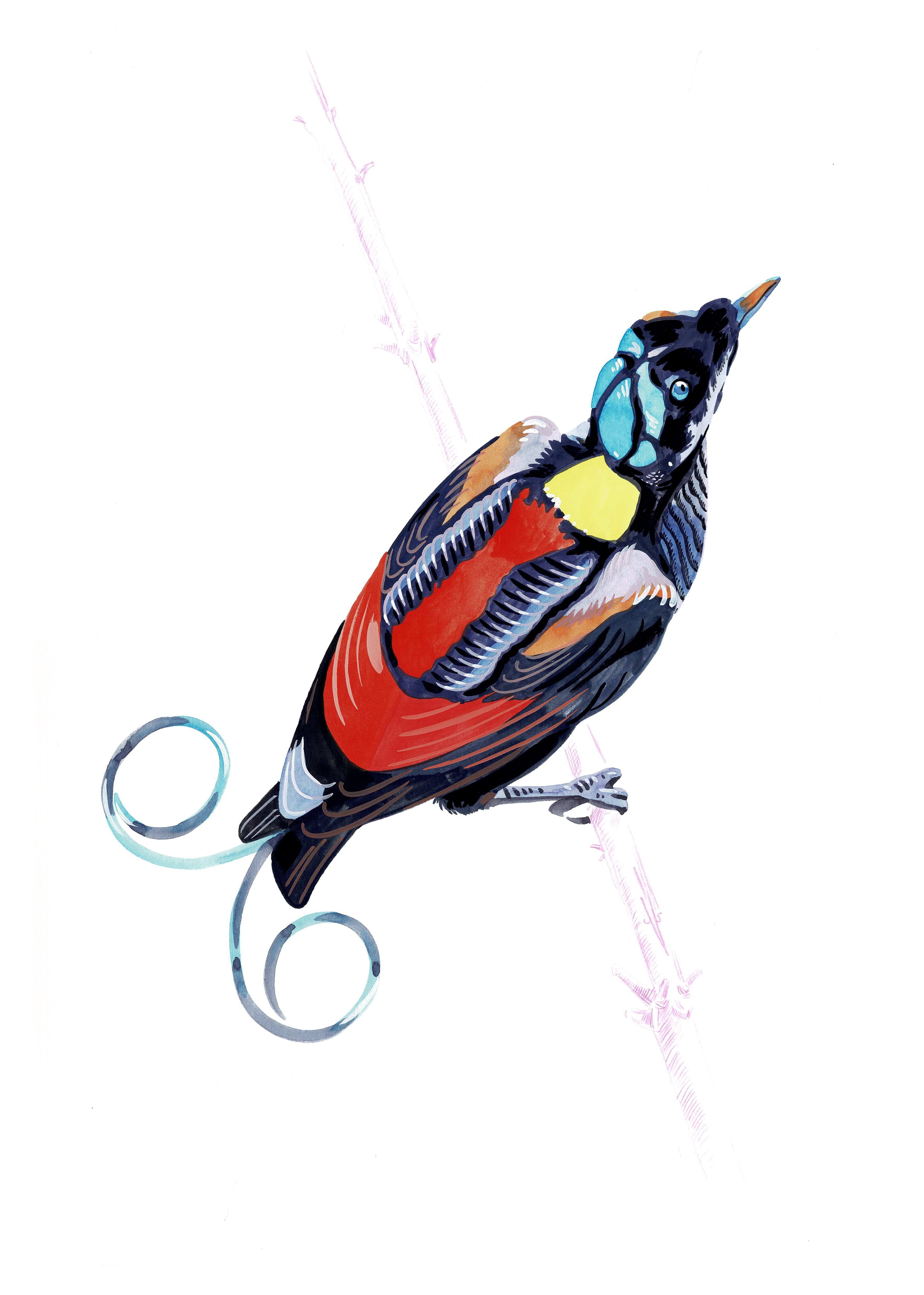 "Studio96 1" by Metin Salih