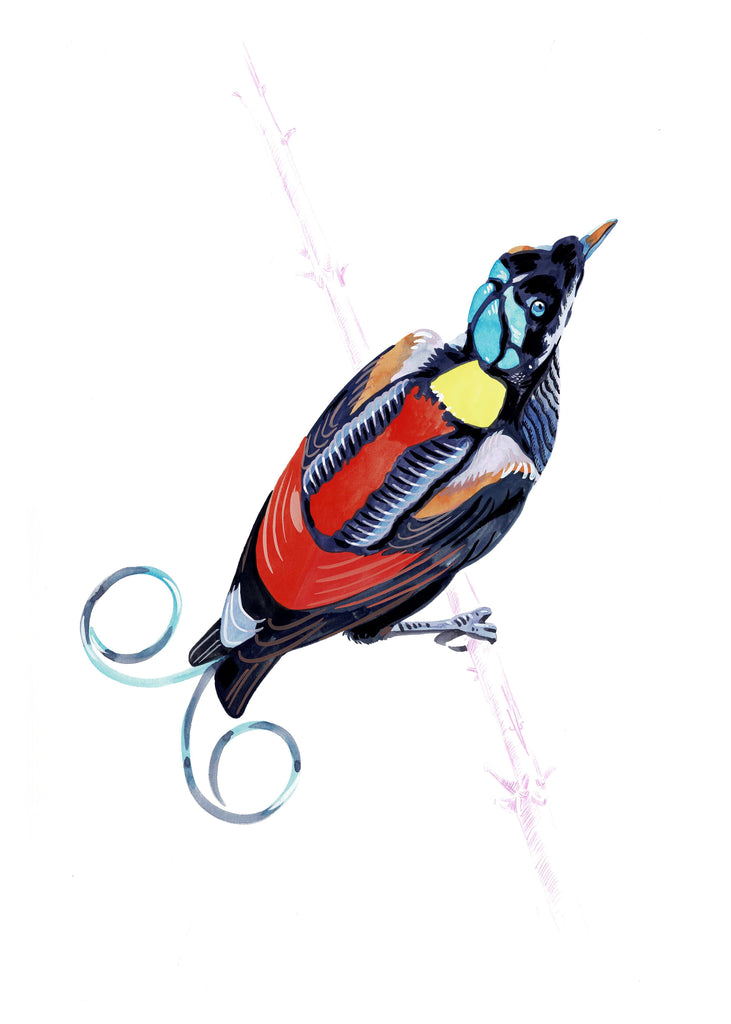 "Studio96 1" by Metin Salih