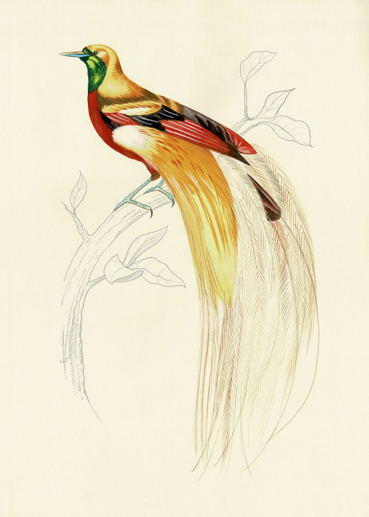 "Fashionista 1" by Metin Salih