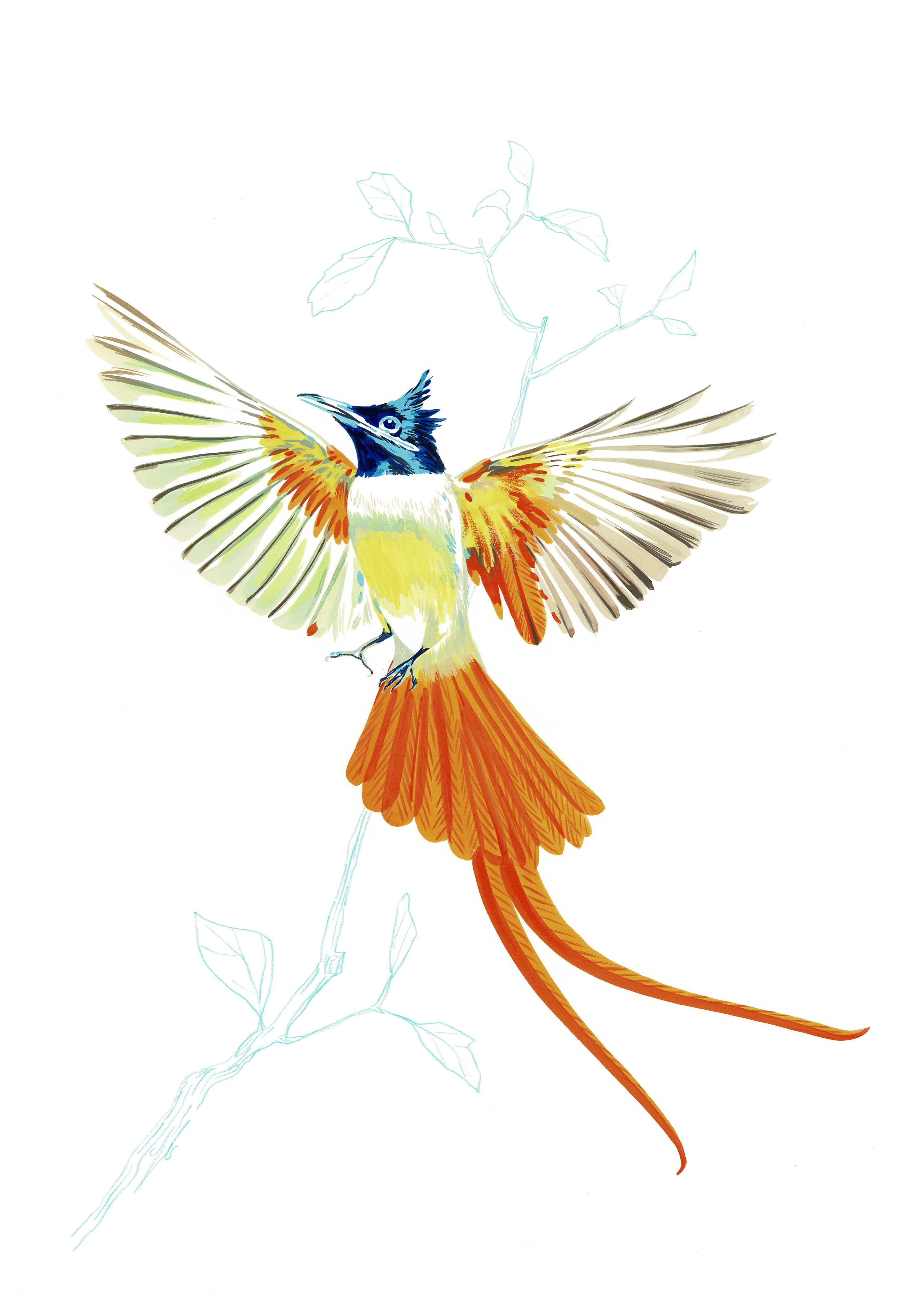 "Leap of Fight 1" by Metin Salih