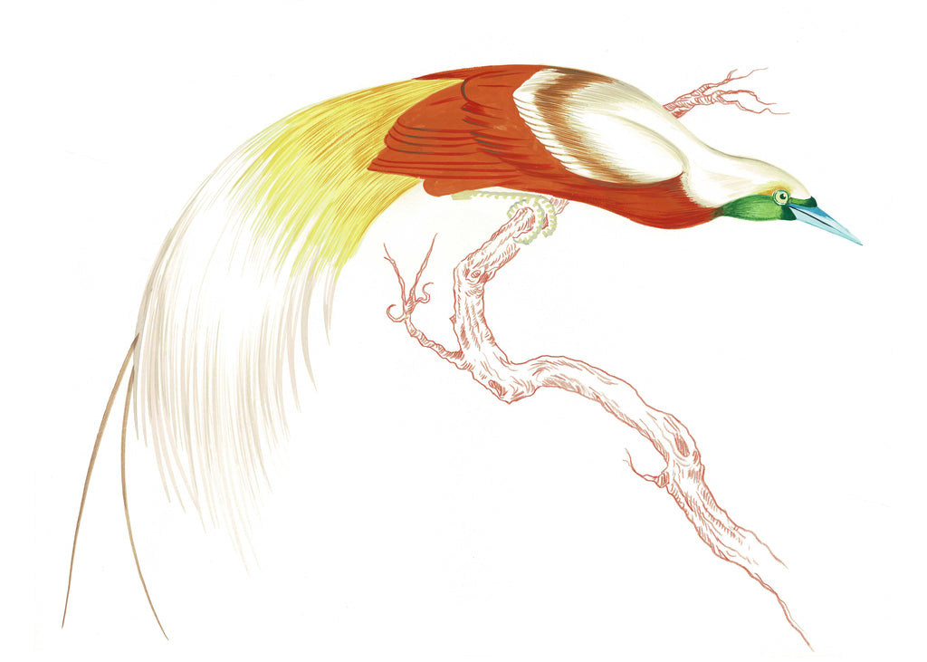 "Swoop & Sway 1" by Metin Salih