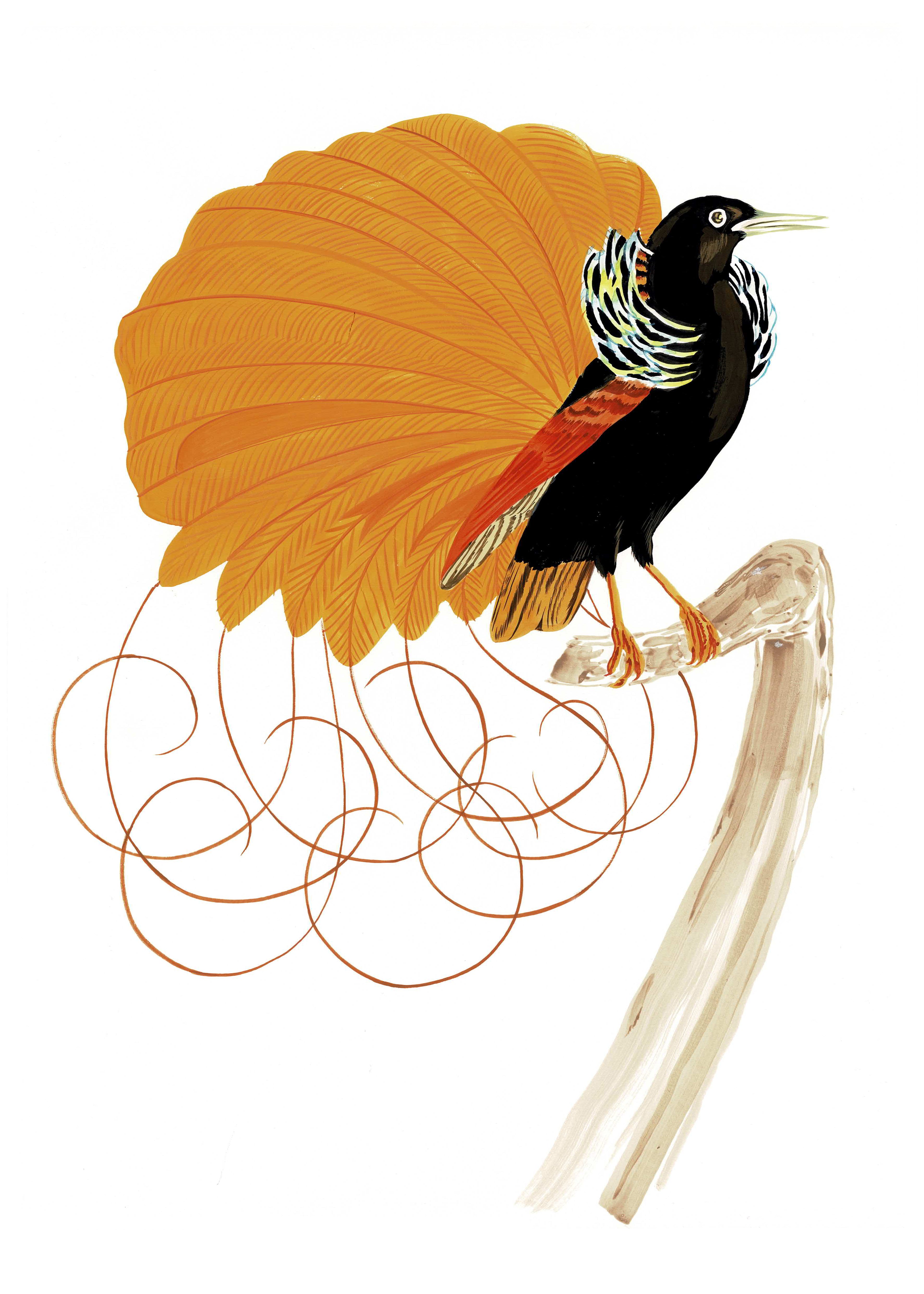 "Pretty Fly 1" by Metin Salih