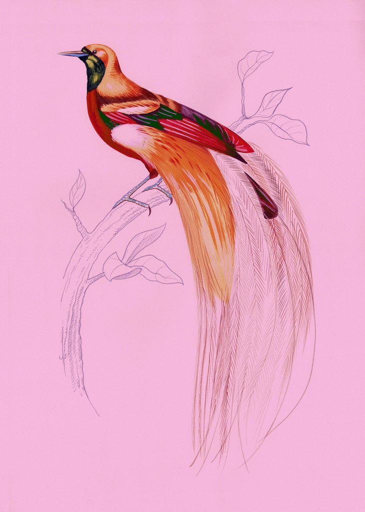 "Fashionista 2" by Metin Salih