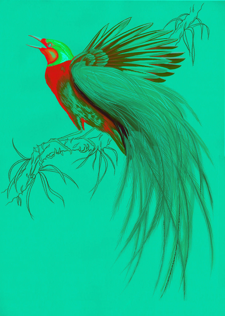 "Sugar Boo 3" by Metin Salih