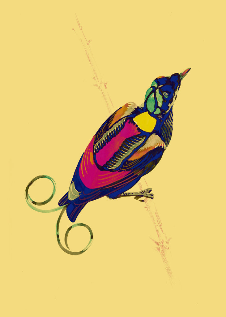 "Studio 96 4" by Metin Salih