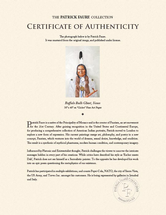 "Buffalo Bulls Ghost, Sioux" by Patrick Faure-Artography Limited