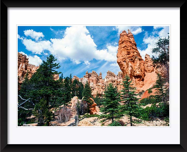 "Overlooking" by Robert Manno Photography