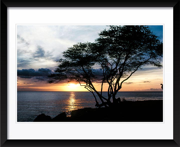 "On the Horizon" by Robert Manno Photography