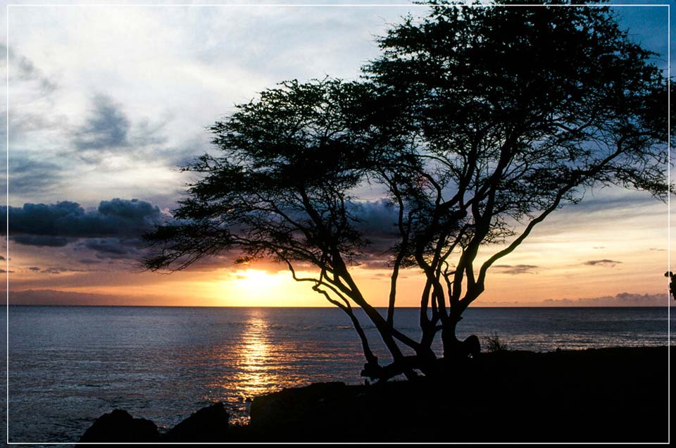 "On the Horizon" by Robert Manno Photography-Artography Limited