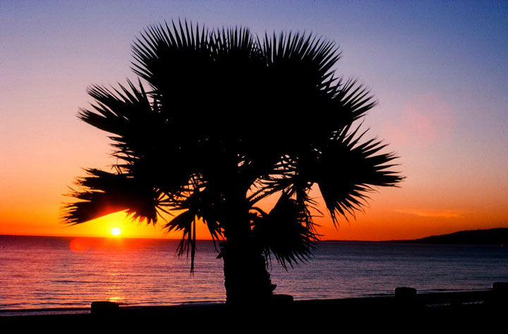 "Last Sunset" by Robert Manno Photography