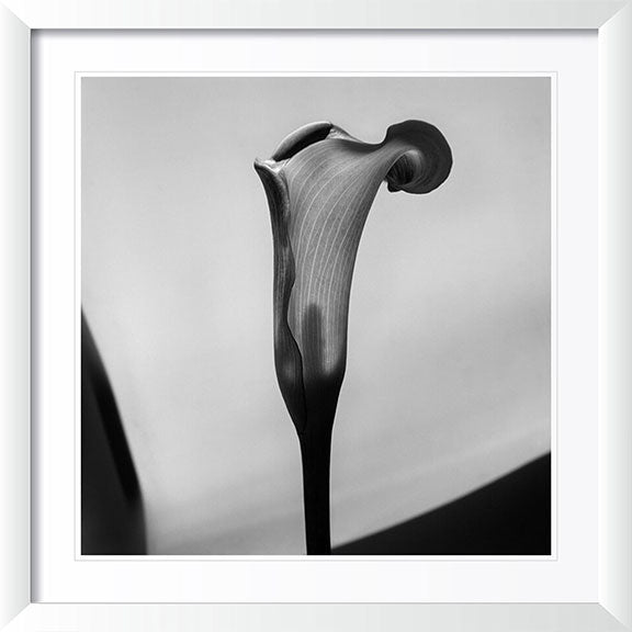 "Cala" by Tom Artin Photography