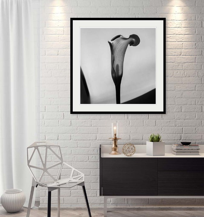 "Cala" by Tom Artin Photography-Artography Limited