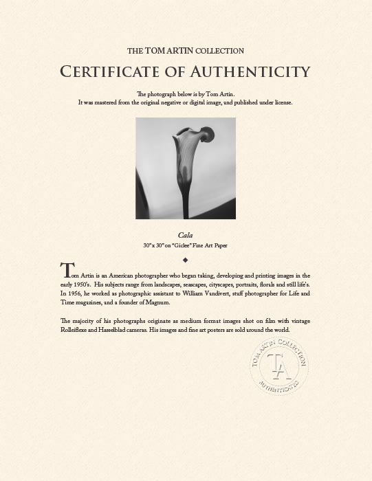 "Cala" by Tom Artin Photography-Artography Limited