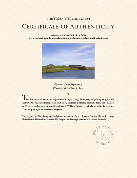 "Craters, Lake Myvatn A" by Tom Artin Photography-Artography Limited