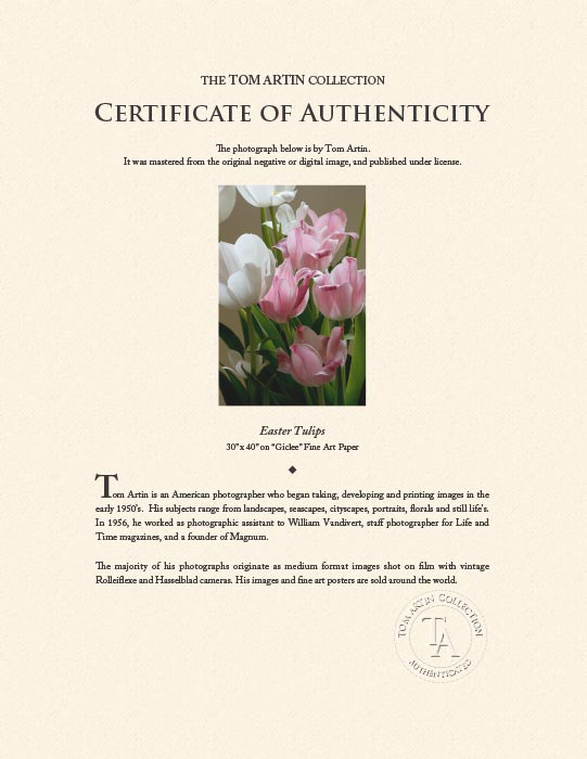 "Easter Tulips" by Tom Artin Photography-Artography Limited