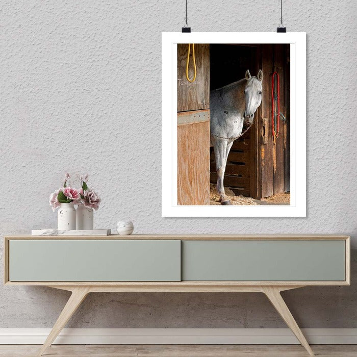 "Grey Horse A" by Tom Artin Photography-Artography Limited