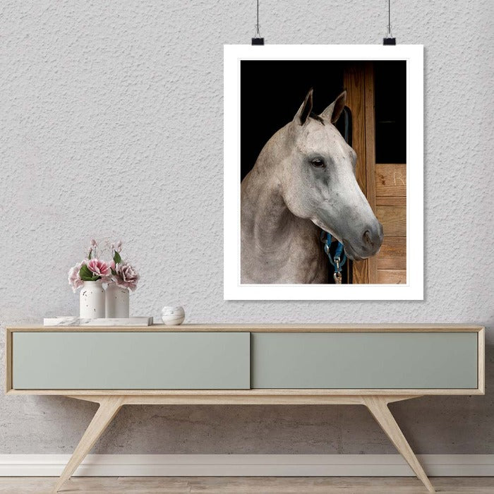 "Grey Horse B" by Tom Artin Photography-Artography Limited
