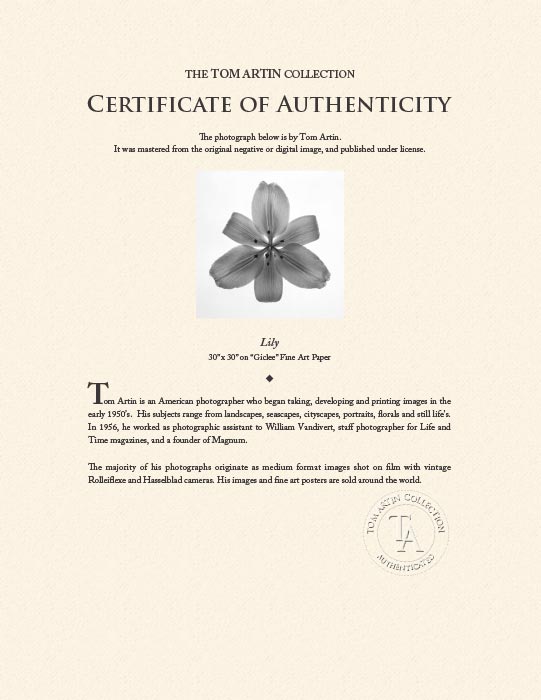 "Lily" by Tom Artin Photography-Artography Limited