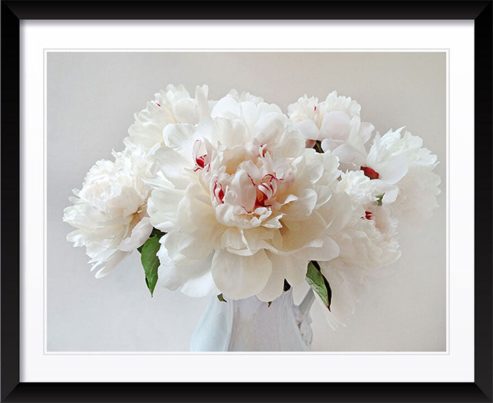 "Peonies" by Tom Artin Photography
