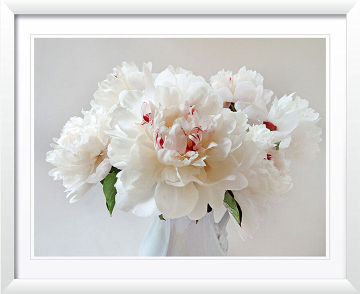 "Peonies" by Tom Artin Photography