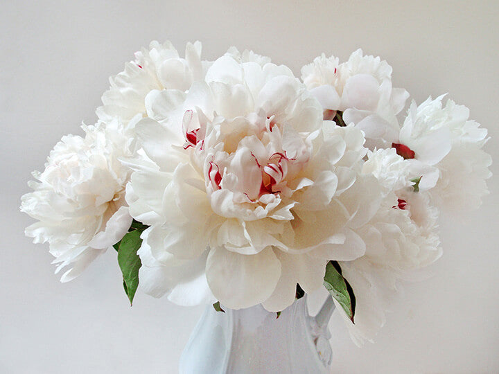 "Peonies" by Tom Artin Photography