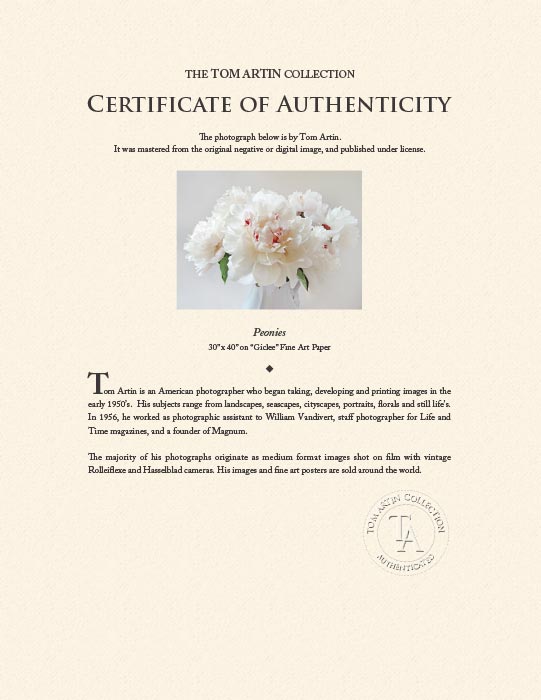 "Peonies" by Tom Artin Photography-Artography Limited