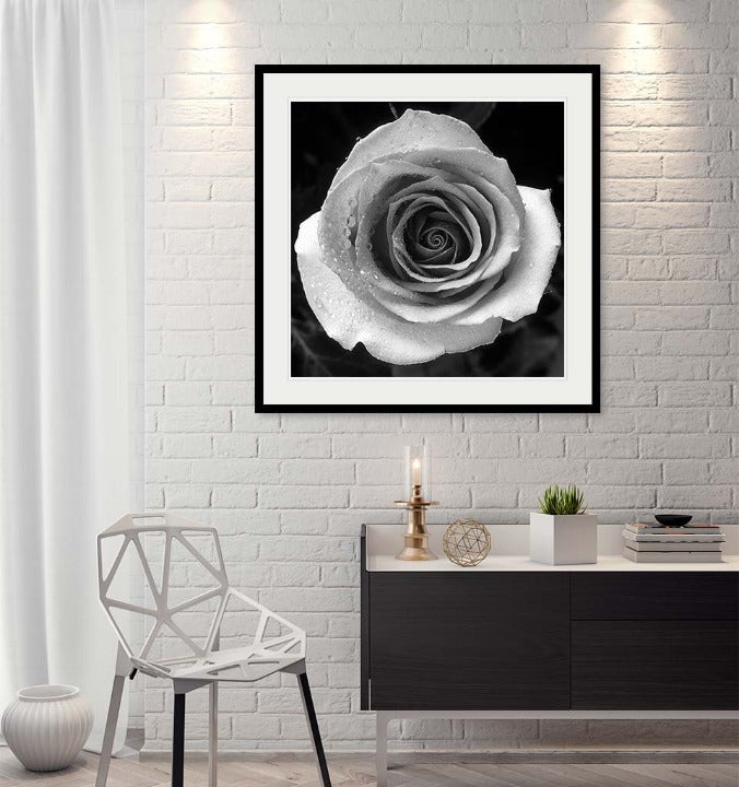 "Rose" by Tom Artin Photography-Artography Limited