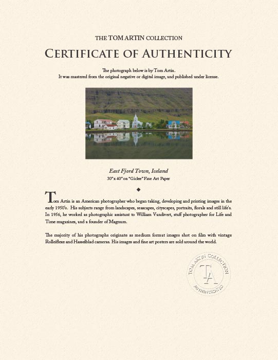 "East Fjord Town, Iceland" by Tom Artin Photography-Artography Limited