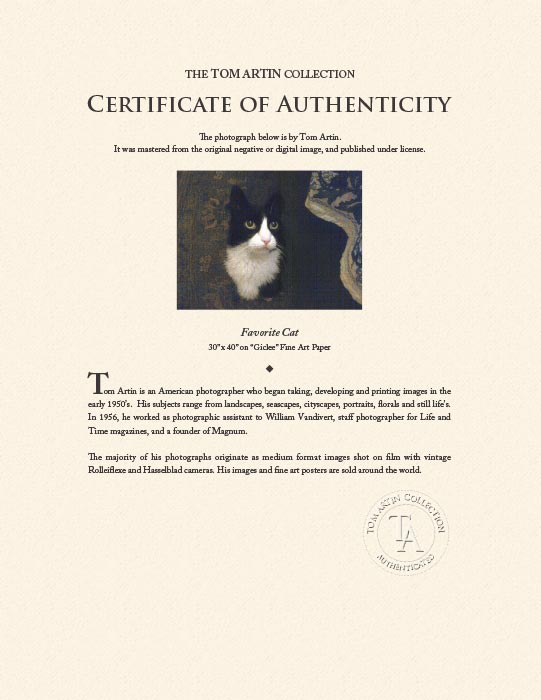 "Favorite Cat" by Tom Artin Photography-Artography Limited