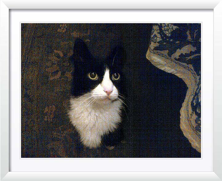 "Favorite Cat" by Tom Artin Photography