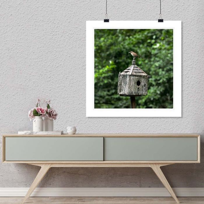 "Wren On House" by Tom Artin Photography-Artography Limited