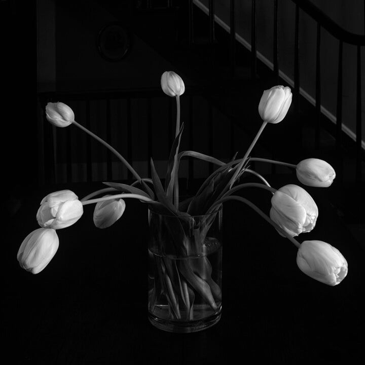 "Tulips In Vase" by Tom Artin Photography
