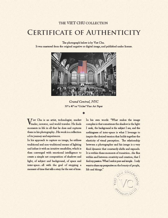 "Grand Central Station" by Viet Chu Photography-Artography Limited