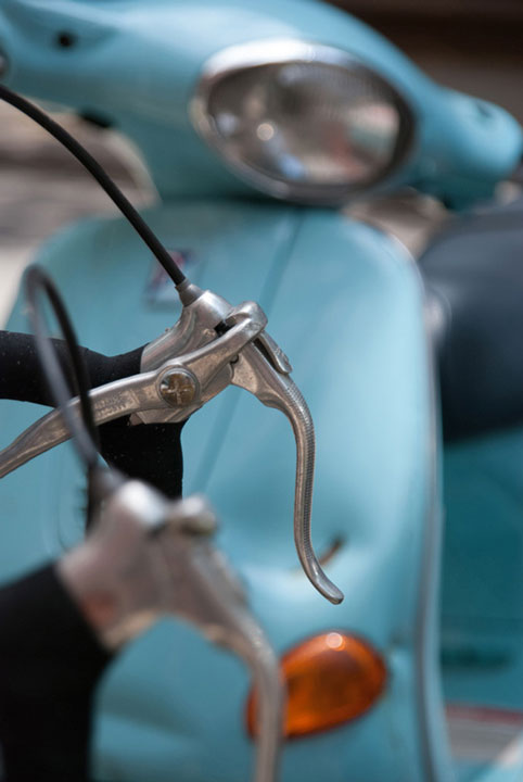 "Curious Envy" by Viet Chu Photography