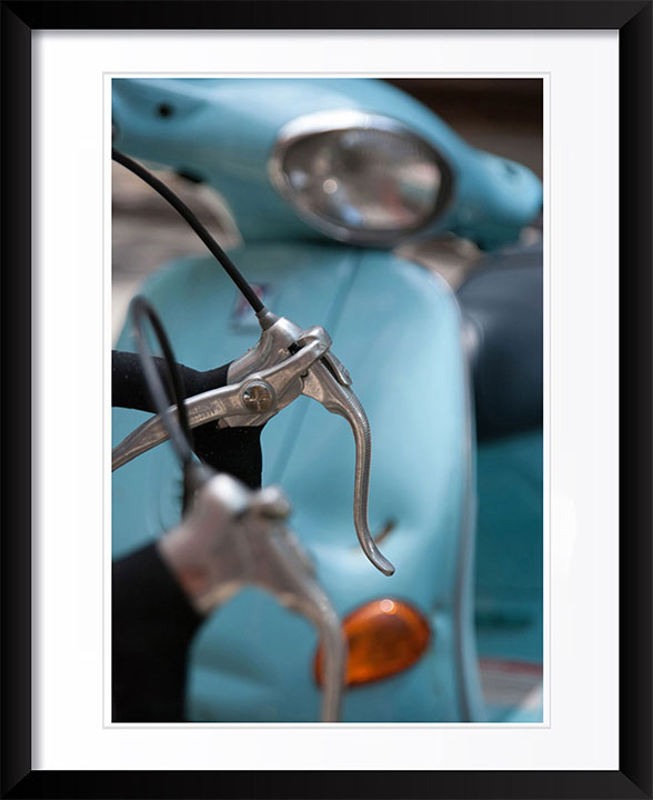 "Curious Envy" by Viet Chu Photography