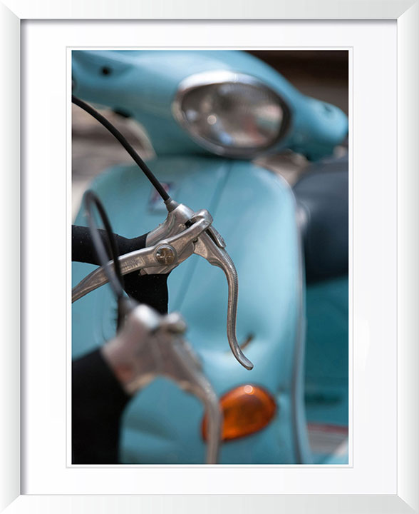 "Curious Envy" by Viet Chu Photography