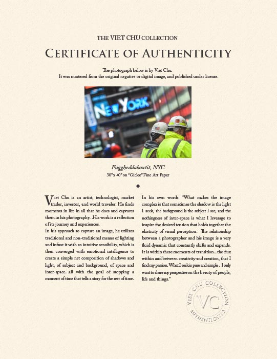 "Fuggheddaboutit" by Viet Chu Photography-Artography Limited