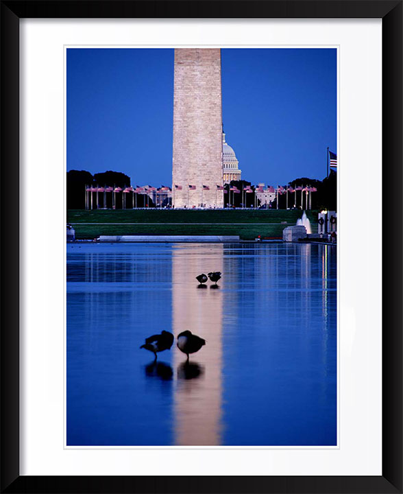 Reflecting Pool, Washington DC Photography by Viet Chu