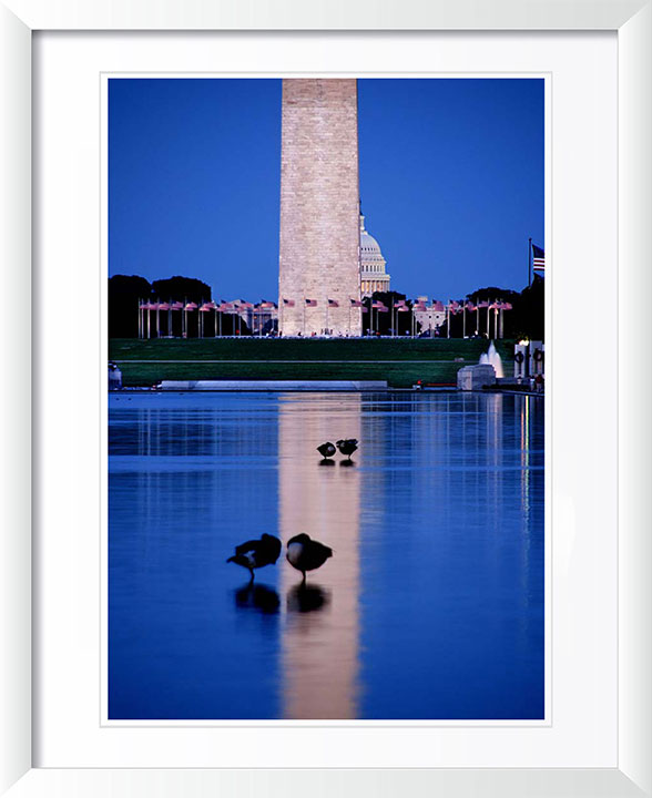 Reflecting Pool, Washington DC Photography by Viet Chu