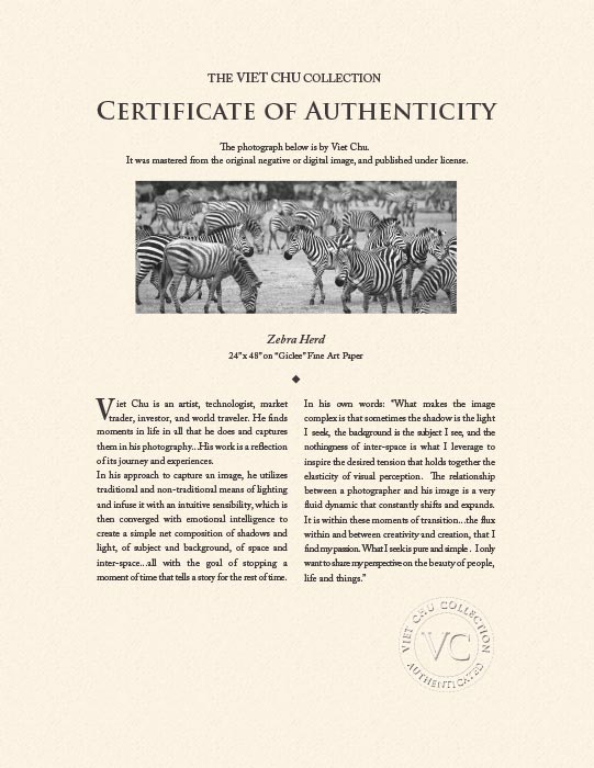 "Zebra Herd" by Viet Chu Photography-Artography Limited