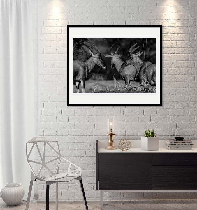 "Antelopes Trio" by Viet Chu Photography-Artography Limited