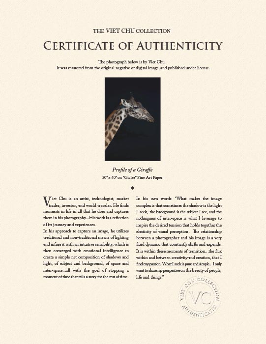 "Giraffe Profile" by Viet Chu Photography-Artography Limited