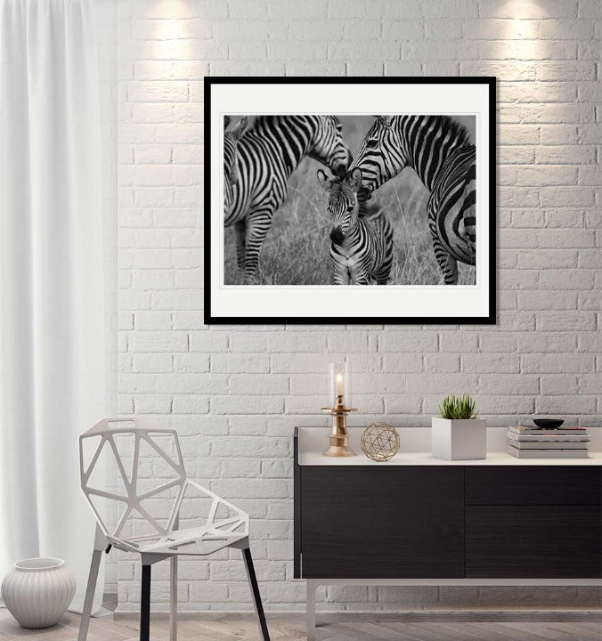 "Zebra family" by Viet Chu Photography-Artography Limited
